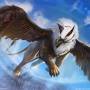 griffon.jpg